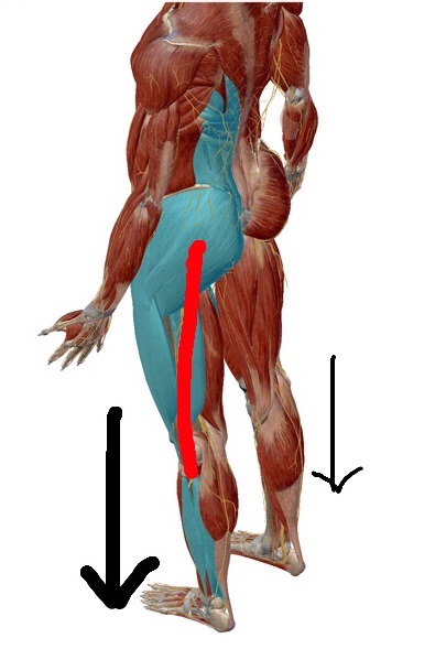 腰 から 足 にかけて の 痛み 片側